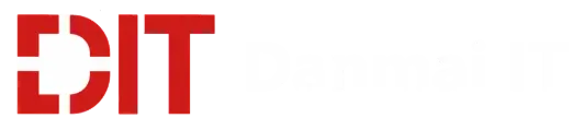 Danmai IT Consulting